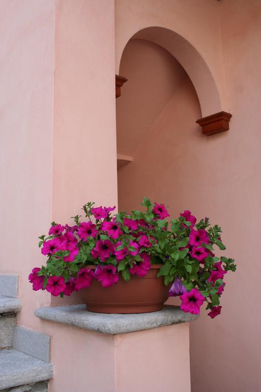 Le Petit Coin De Maison Chante Lune Bed and Breakfast Introd Exterior foto